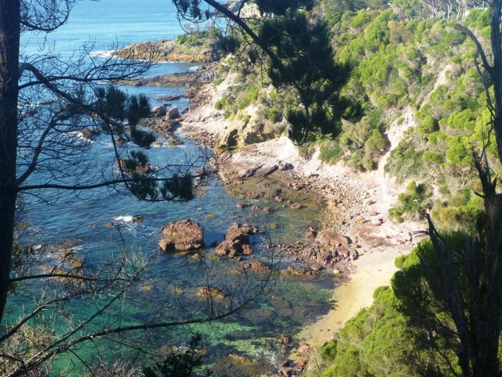 Snug Cove Villas Eden Εξωτερικό φωτογραφία